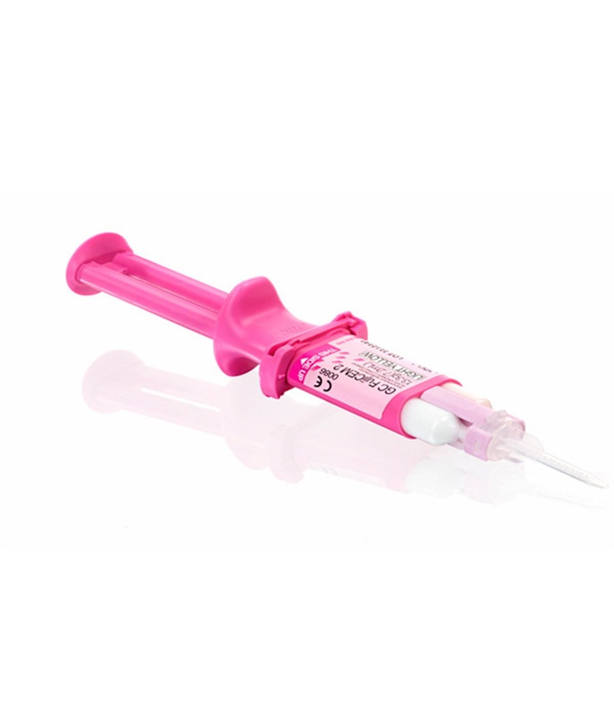 [033092] FUJICEM 2 SL REPOSICIÓN 2 CARTUCHOS GC 900897