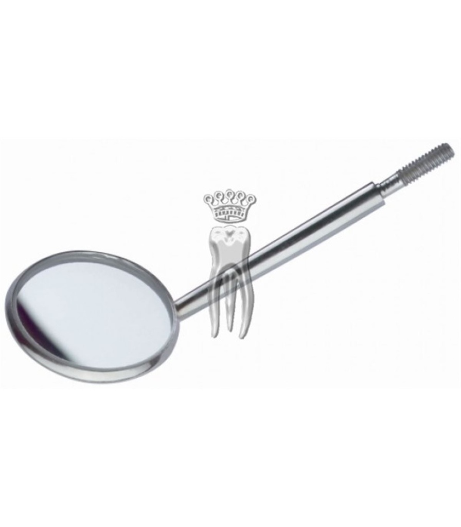 ESPEJOS PLANOS 480CS/5 CARL MARTIN