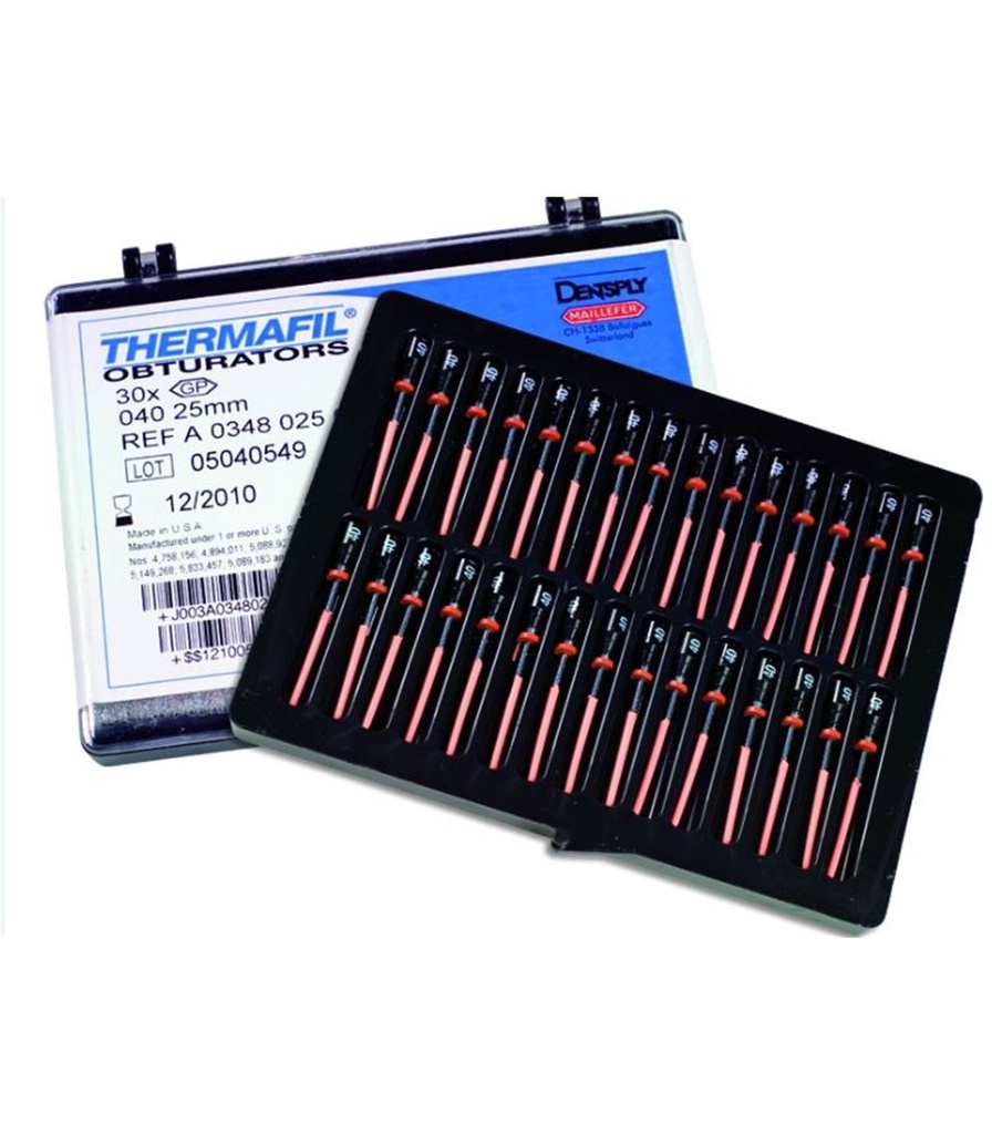 [081306] PUNTAS THERMAFIL Nº20-80 (6UDS.) - DENTSPLY MAILLEFER (Nº45 25mm)