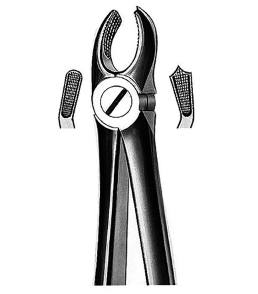 FORCEPS - MEDICALINE (Nº 68 (Raíces superiores))