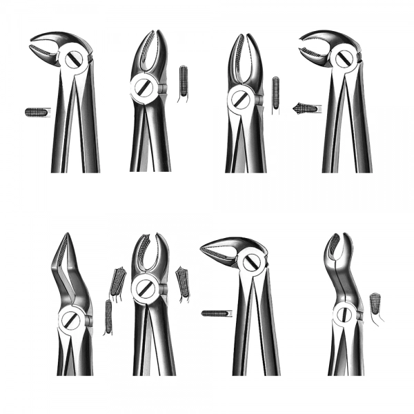 FORCEPS - KDM (Nº 1 (Incisivos centrales))