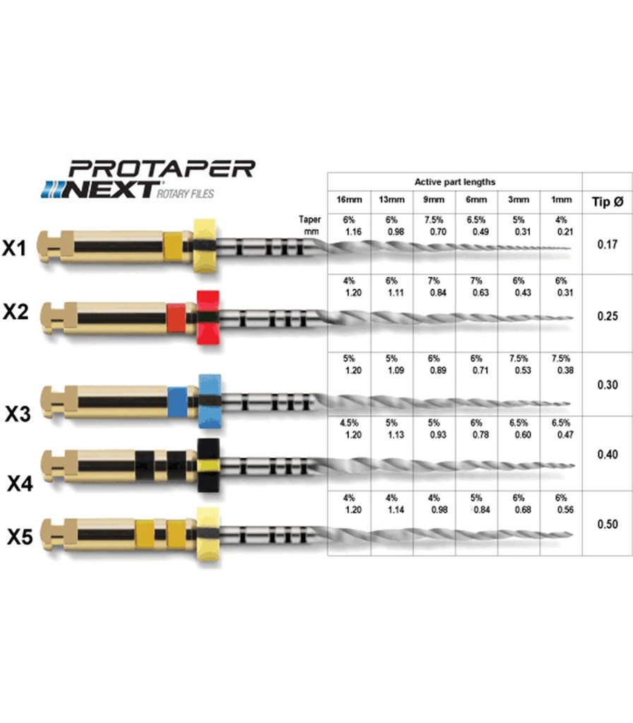 [080065] LIMAS PROTAPER NEXT (6UDS.)- DENTSPLY MAILLEFER (Next Surtido X1-X3 21mm)