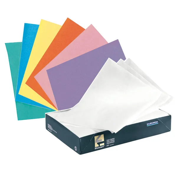 [060426] PAPEL BANDEJA MONOART (250UN.) - EURONDA (Verde Lima)