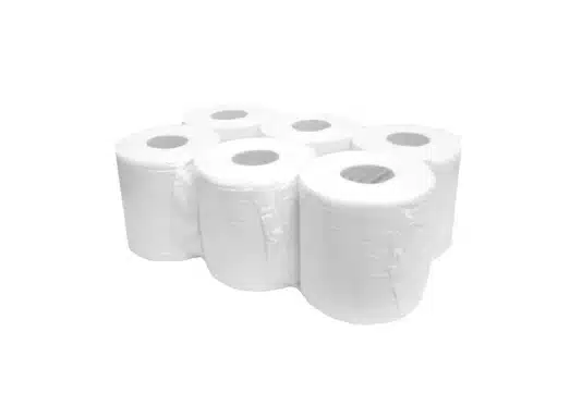[068224] PAPEL SECAMANOS MINI 2C 6 ROLLOS DINO